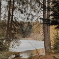 IMG-20220319-WA0003